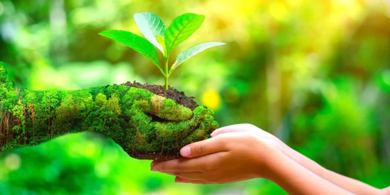 15 Eco-Friendly Ways to Save Money and Reduce Your Carbon Footprint