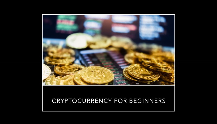 A Comprehensive Guide to Cryptocurrency for Absolute Beginners